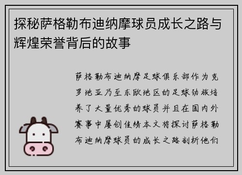 探秘萨格勒布迪纳摩球员成长之路与辉煌荣誉背后的故事