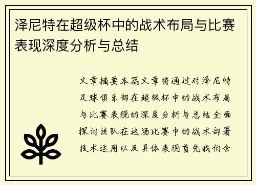 泽尼特在超级杯中的战术布局与比赛表现深度分析与总结