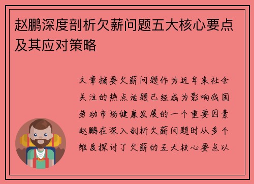 赵鹏深度剖析欠薪问题五大核心要点及其应对策略